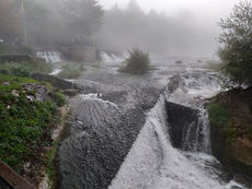 Erkundung von Heimerads Heimat Rheinfall, Radolfzell, Reichenau